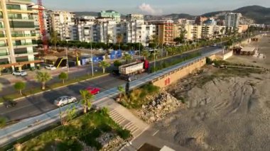 Palmiye ağaçları ve mavi gökyüzü Türkiye 4K
