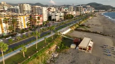 Palmiye ağaçları ve mavi gökyüzü Türkiye 4K