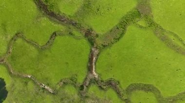 Farm Region green fields background