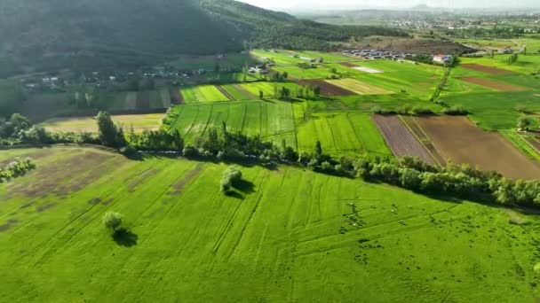 Farm Region Green Fields Background — Stockvideo