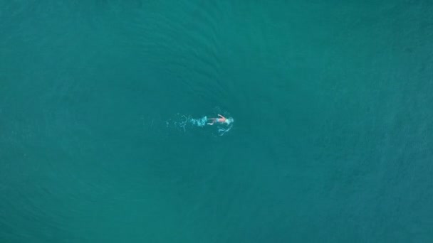 Man Swim Winter Sea Background — Αρχείο Βίντεο