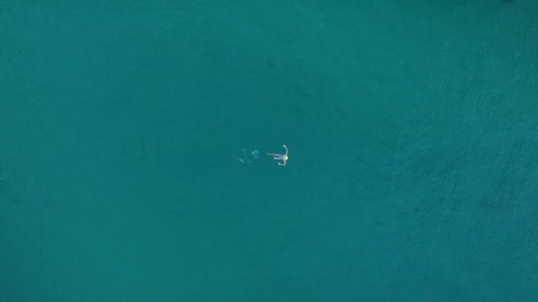 Man Swim Winter Sea Background — Αρχείο Βίντεο