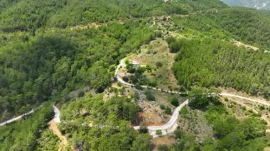 Farm region avacado fields green