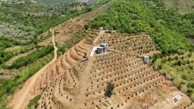 Avocado fields aerial background aerial