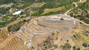 Avocado fields aerial background aerial