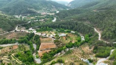 Avocado fields aerial background aerial