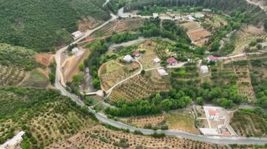 Avocado fields aerial background aerial