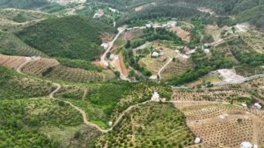 Avocado fields aerial background aerial