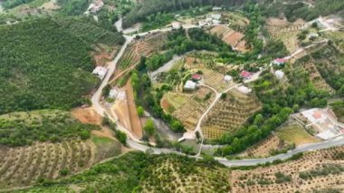 Avocado fields aerial background aerial