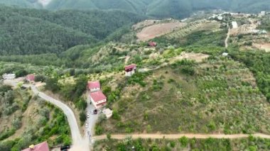 Avocado fields aerial background aerial