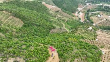 Avocado fields aerial background aerial