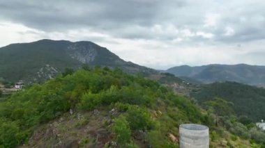 Avocado fields aerial background aerial