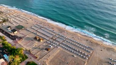 Landscaping in the park background view