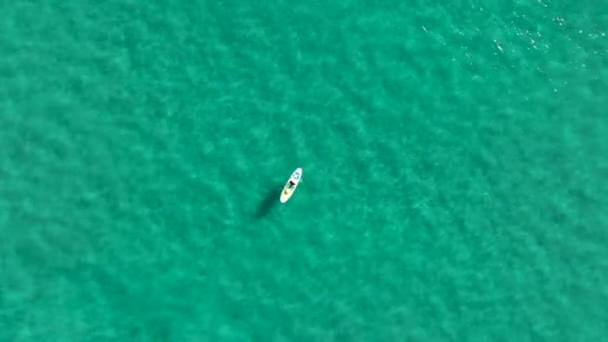 Sup Surfing Man Swim Sea — Vídeo de Stock