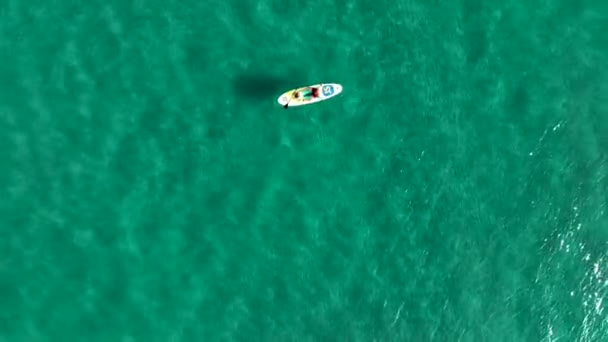 サーフィンの男が海で泳いでいる — ストック動画