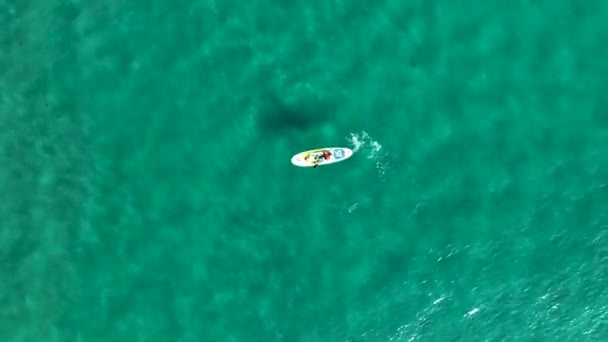 サーフィンの男が海で泳いでいる — ストック動画