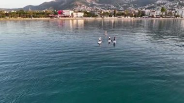Sunrise Alanya Harbor aerial view awesome view Turkey