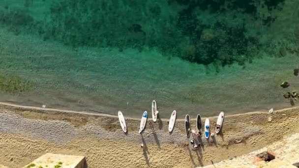 Sup Surfing Group Walking Water — Video Stock