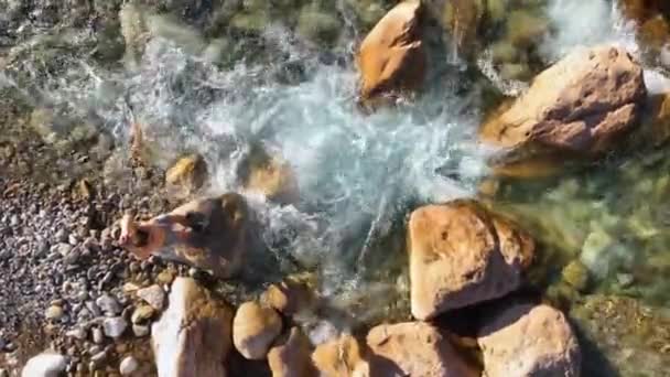 Young Man Very Seriously Adjusted Guy Enjoys Nature Breathes Fresh — Vídeo de stock
