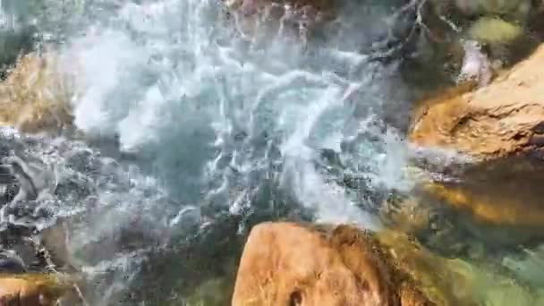 Cold Water Splashing Rapids Concept Water Background — Wideo stockowe