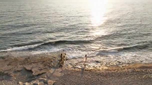 Model White Pareo Posing Stone Beach — Vídeo de Stock