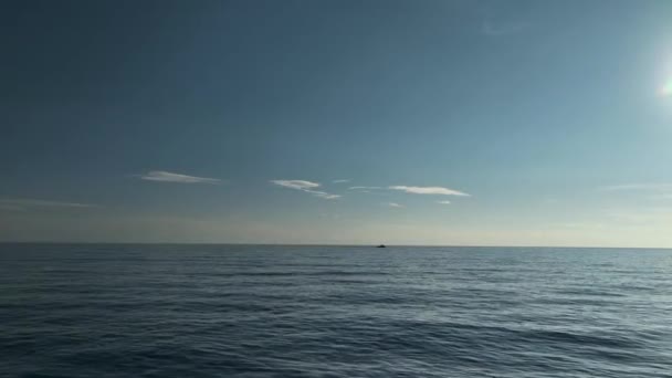地中海沿岸の係留ガスタンカー — ストック動画