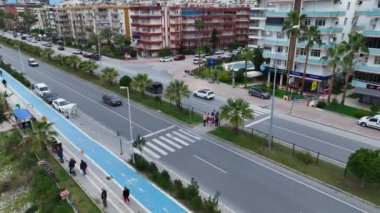 Palmiye ağaçları ve mavi gökyüzü Türkiye 4K.