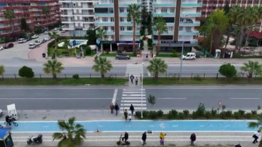 Palmiye ağaçları ve mavi gökyüzü Türkiye 4K.