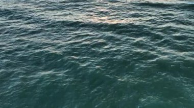 Kıyıya yakın köpüklü deniz dalgaları. Deniz yüzeyi