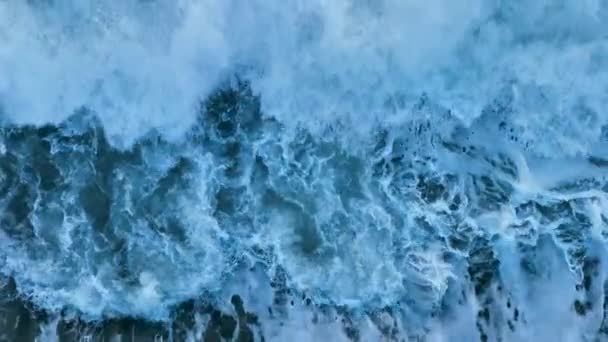 Krásné Letecké Ptáci Oko Pohled Oceánské Vlny Letecký Pohled Drone — Stock video
