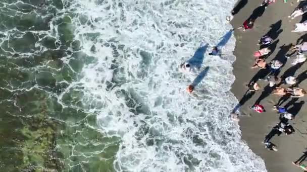 해변에 사람들이 바다에서 의식을 행하고 — 비디오