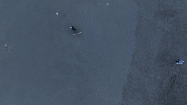 Grey Plaża Pionowy Widok Rodzina Wakacje Koncepcja — Wideo stockowe