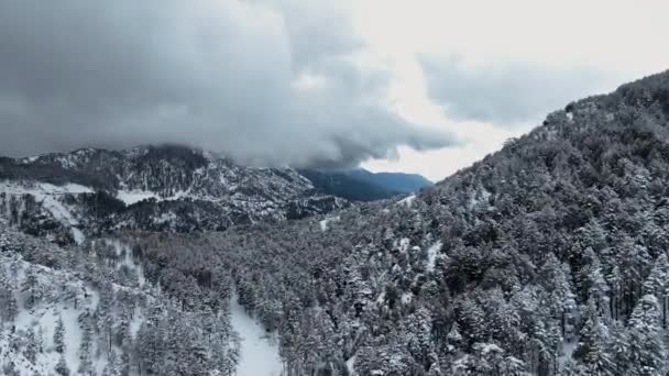 Luftaufnahme Des Winterpanoramas Den Bergen Familienkonzept — Stockvideo