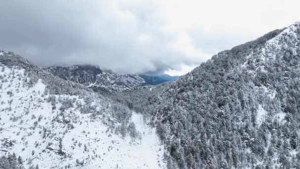 Winter Hintergrund Bei Trübem Wetter Luftbild — Stockvideo