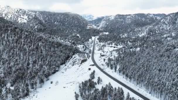 Όμορφος Χιονισμένος Λευκός Χειμώνας Και Χιονισμένο Δάσος Από Έλατα Δρόμος — Αρχείο Βίντεο