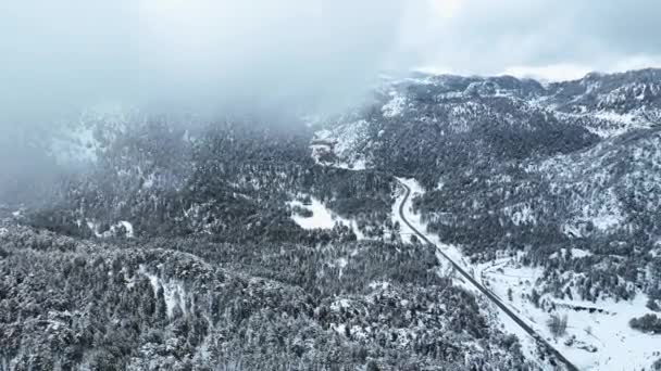 Bosque Nevado Escénico Frío Día Invierno Sobrecarga Drone Volando Través — Vídeo de stock