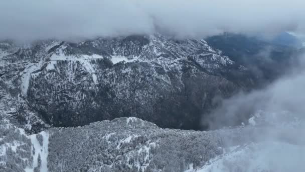 Kalten Bergen Winter Drohnenaufnahmen Des Winterwaldes Nach Starkem Schneefall — Stockvideo
