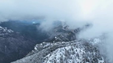 Kışın soğuk dağlarda. Yoğun kar yağışı sonrası kış ormanının insansız hava aracı görüntüleri