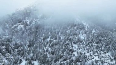 Dağlık karlı kayalık kayalıklar bulutlu kış havasında manzara.