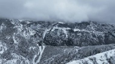 Sisli bir günde dağ tepelerindeki ladin ormanlarının hava görüntüleri. Güzel kış ormanında akşam bulutları.