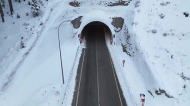 Kardaki ağaçlar. Havadan çekim kavramı yaban hayatının kuş bakışı görüntüsüdür.