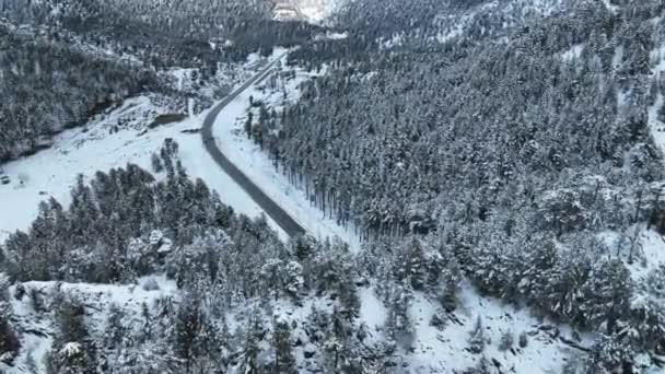Winter Roadtrip Nordischer Landschaft Verfolgungsjagd Auf Der Straße Sonniger Landschaft — Stockvideo
