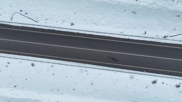 Las Pokryty Śniegiem Biała Ciężarówka Jedzie Zimową Drogą — Wideo stockowe