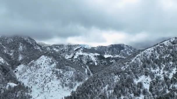 Luftaufnahme Des Winterpanoramas Den Bergen Familienkonzept — Stockvideo