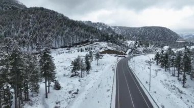 Soğuk kış gününde manzaralı karlı orman. Kışın harikalar diyarı dağ manzarasında şiddetli kar fırtınasında uçan insansız hava aracı.