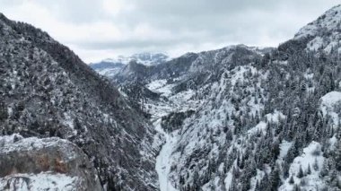 Efsanevi, karlı beyaz kış ve karlı orman. Donmuş ormandan geçen yol
