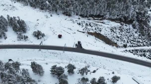 Fliegen Über Schneebedeckten Bäumen Einem Bewölkten Tag Bietet Eine Ikonische — Stockvideo
