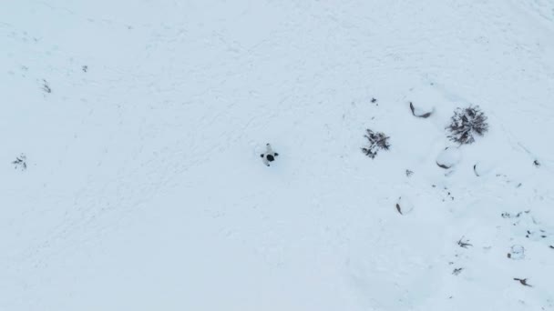 男は冬の山の中を歩く 冬のハイキング極端な条件 — ストック動画