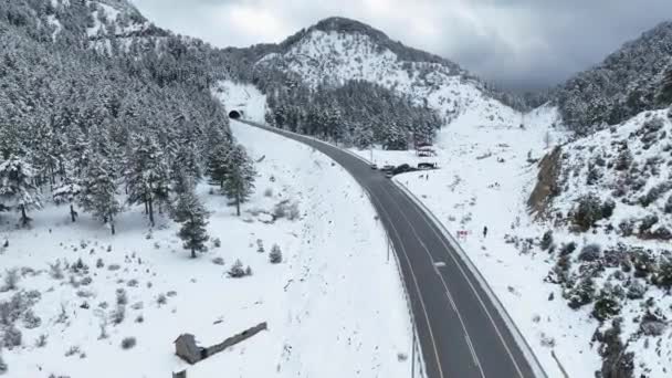 Árboles Nieve Concepto Filmación Aérea Vídeo Desde Una Vista Aves — Vídeo de stock