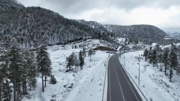 Γραφικό Χιονισμένο Δάσος Την Κρύα Ημέρα Του Χειμώνα Υπερυψωμένο Drone — Αρχείο Βίντεο
